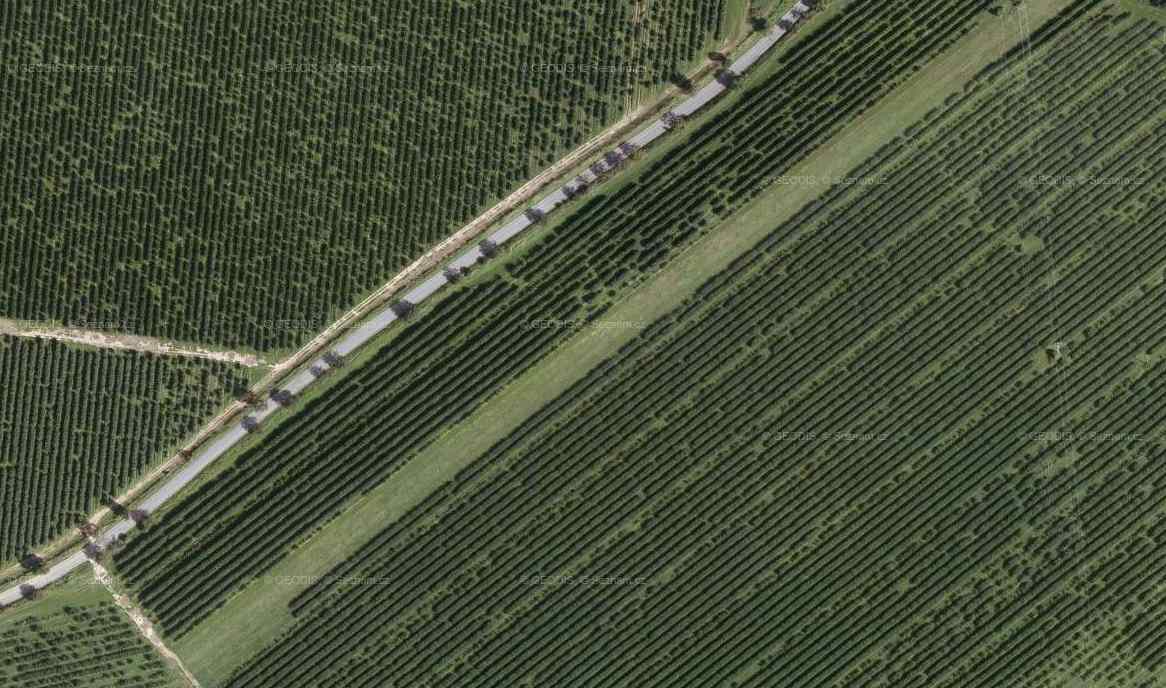 col-10_row24.jpg