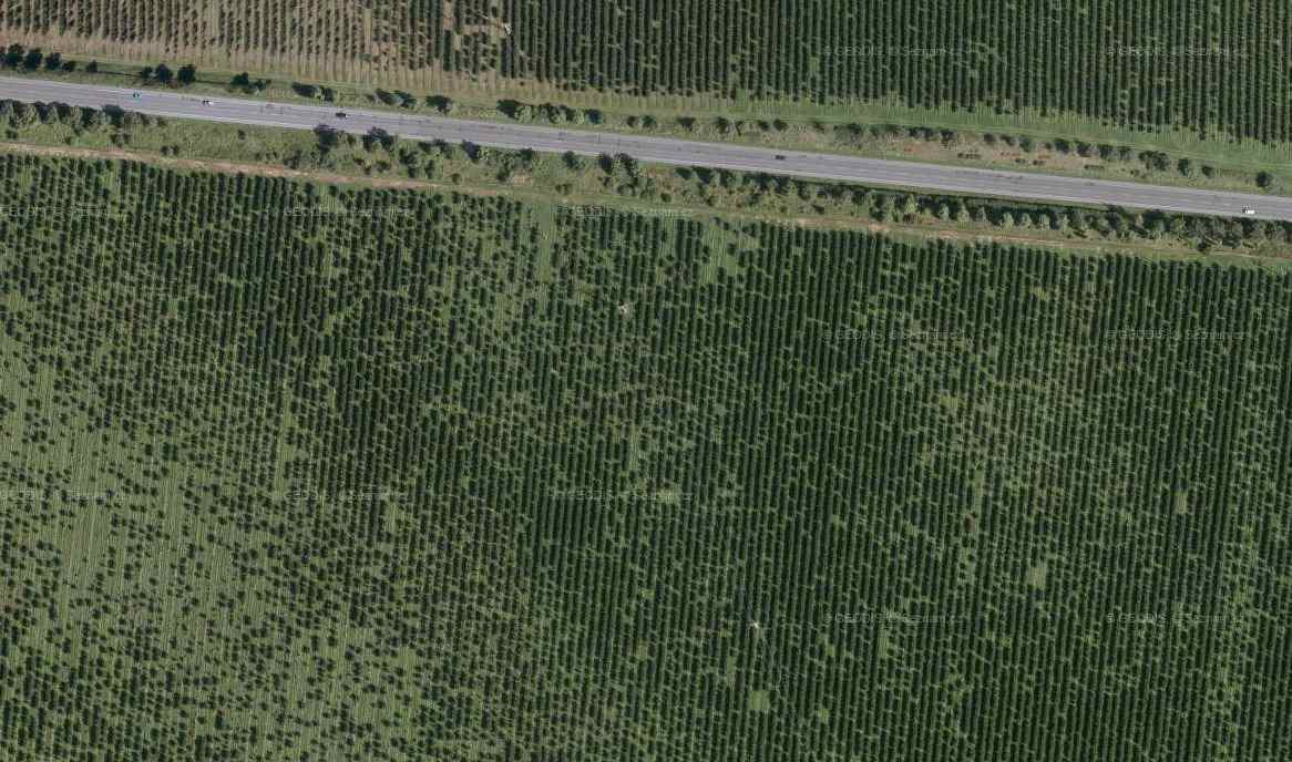 col-10_row26.jpg