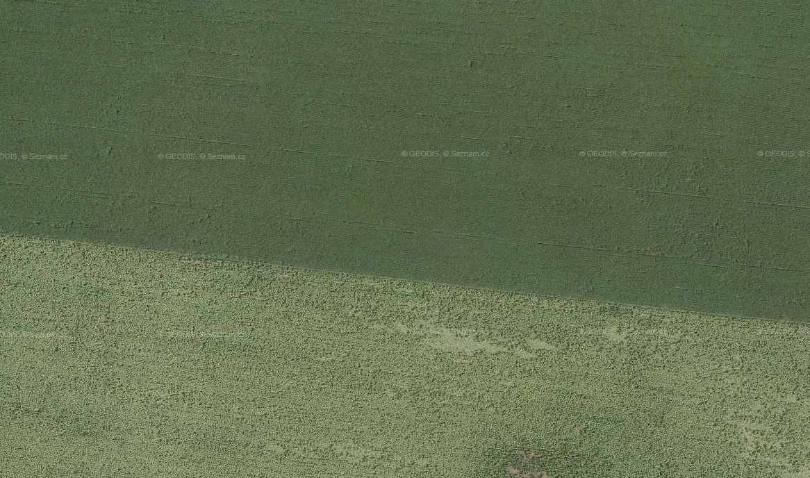 col-1_row24.jpg