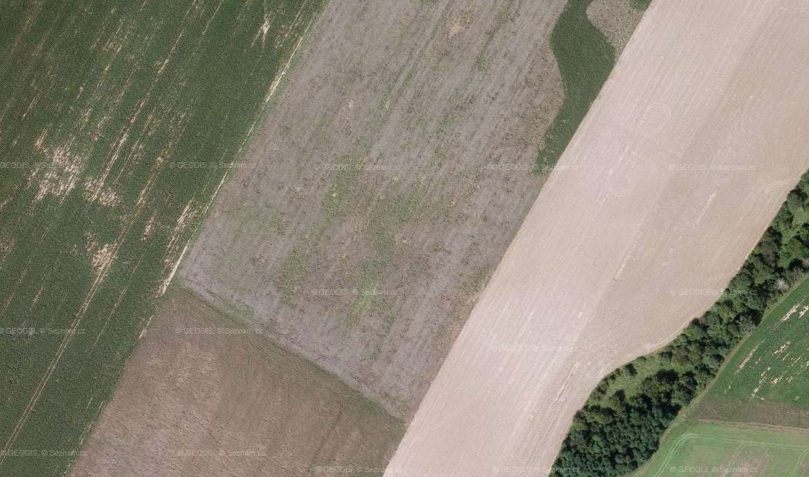 col-8_row19.jpg